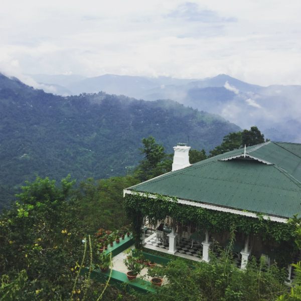 Glenburn Tea Estate, Darjeeling Pollination Projects